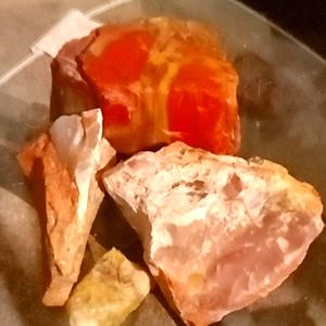 Rainbow petrified wood four gorgeous pieces for your decor